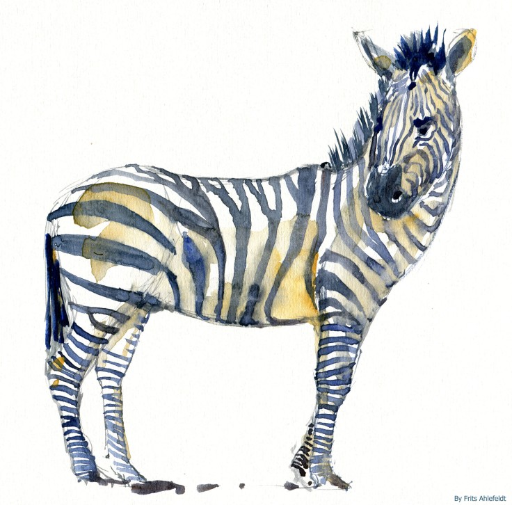 zebra watercolor-by-frits-ahlefeldt